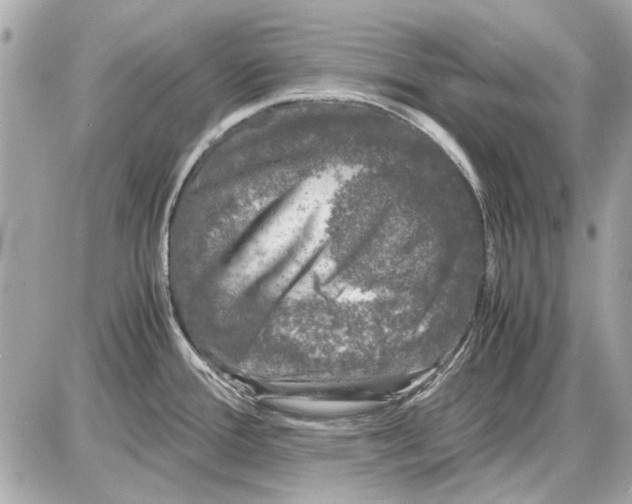 X0000085311388200704092312