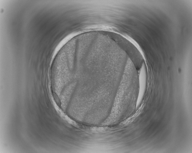 X0000085311389200704092312