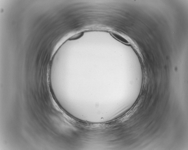 X0000085311390200704092312