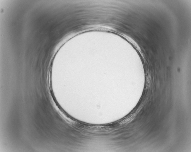 X0000085311391200704092312