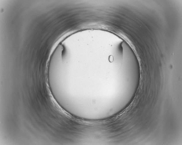 X0000085311392200704092312