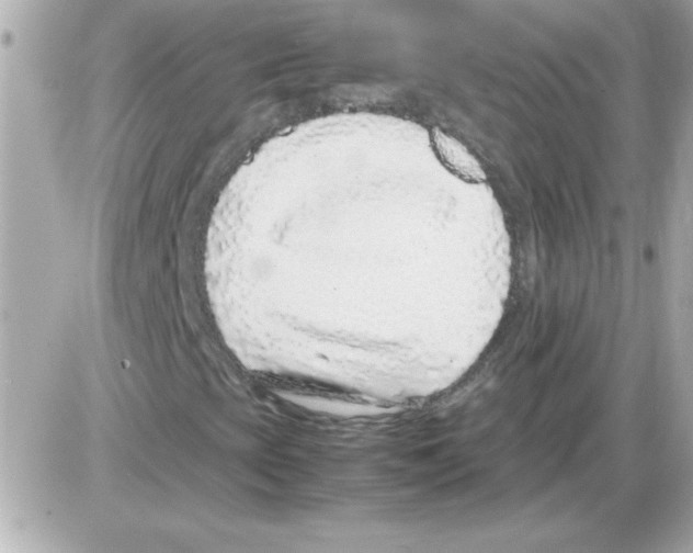 X0000085311393200704092311