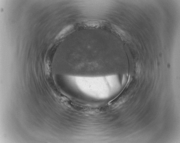 X0000085311394200704092311