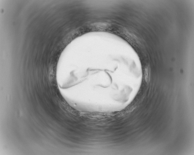 X0000085311395200704092311