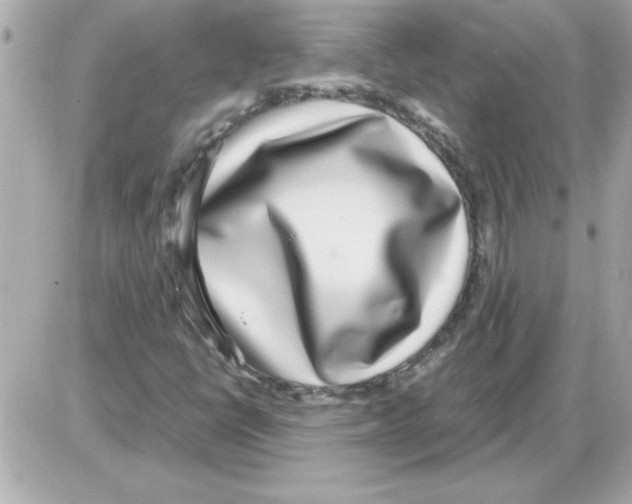 X0000085311398200704092311