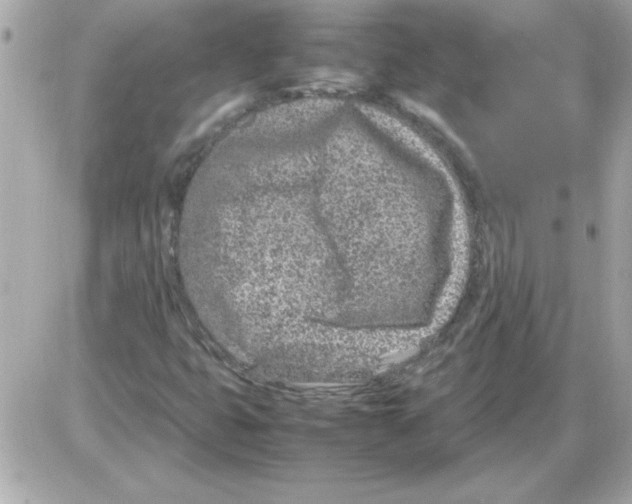 X0000085311399200704092311