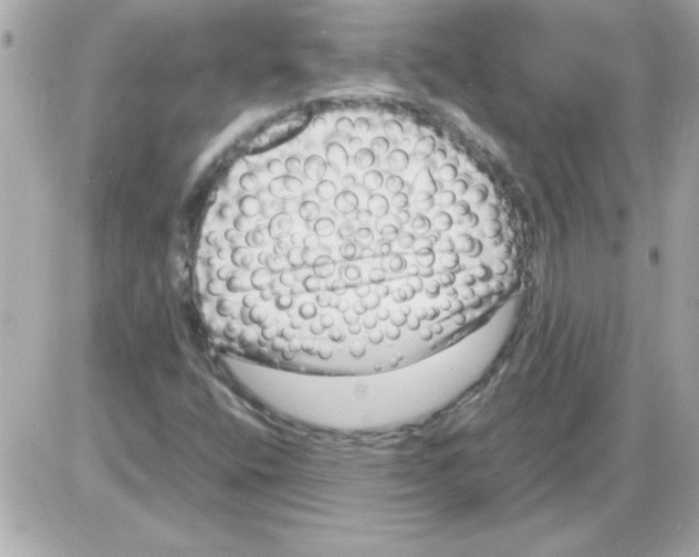 X0000085311400200704092311