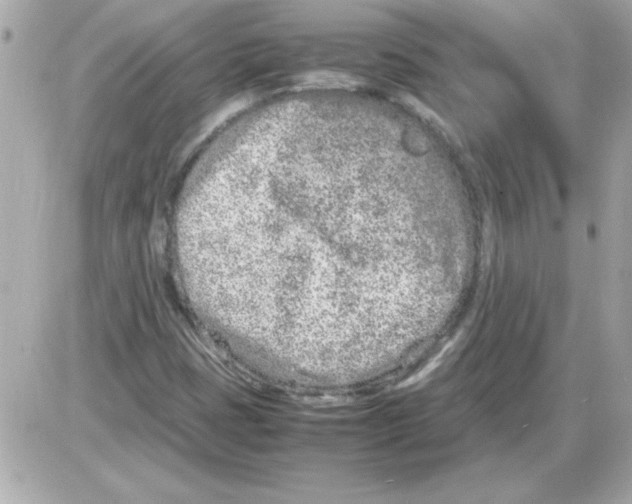 X0000085311401200704092311