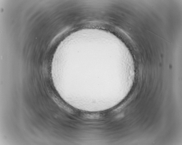 X0000085311403200704092311