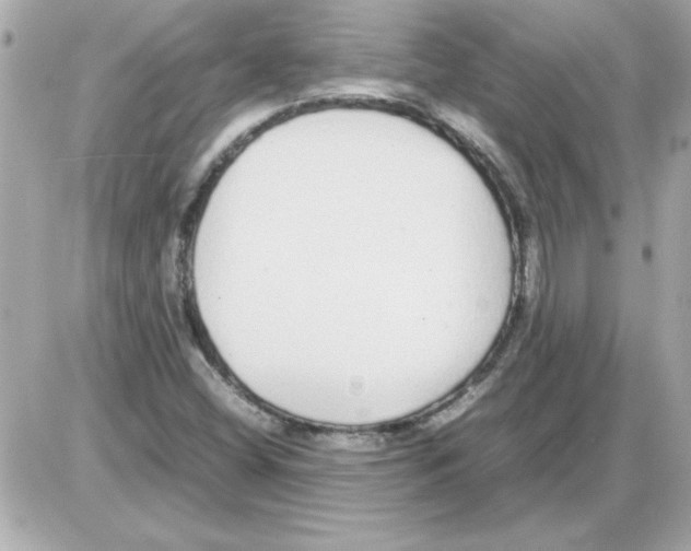 X0000085311404200704092311