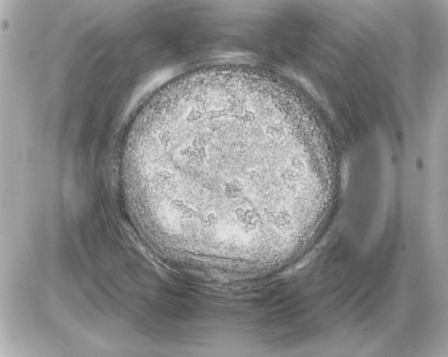 X0000085311405200704092311