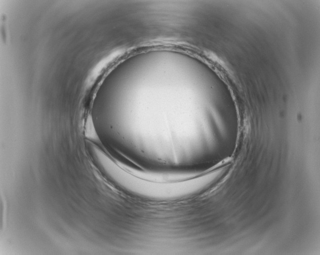 X0000085311406200704092311