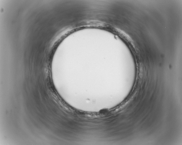 X0000085311407200704092311