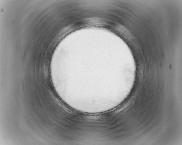 X0000085311409200704092311