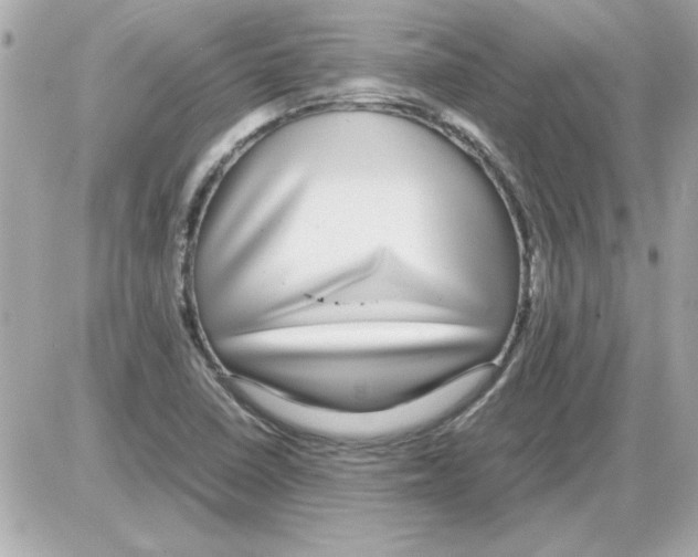 X0000085311410200704092311