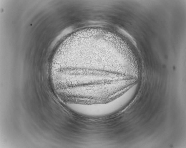 X0000085311411200704092311