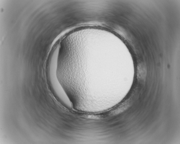 X0000085311412200704092311