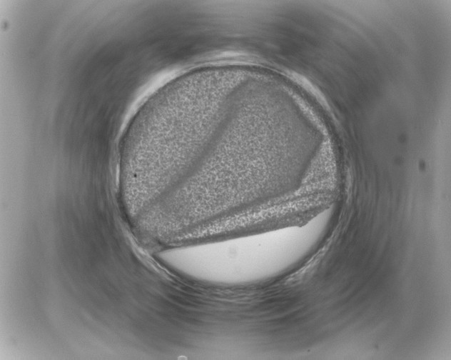 X0000085311413200704092311