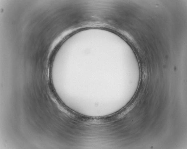 X0000085311414200704092311