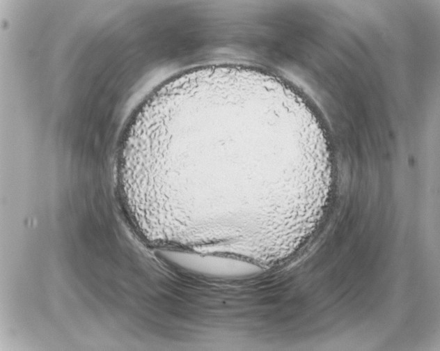 X0000085311415200704092311