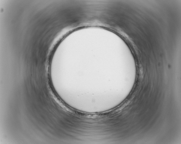 X0000085311416200704092311