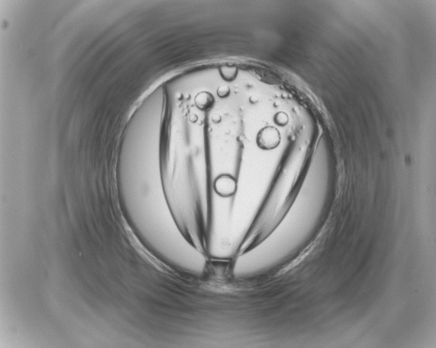 X0000085311417200704092311