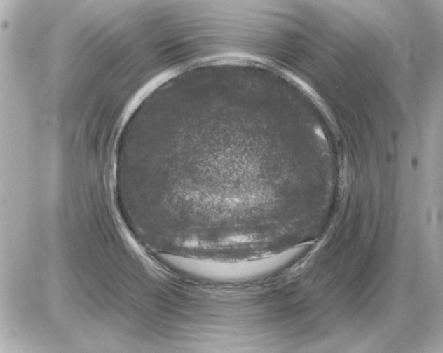 X0000085311418200704092311