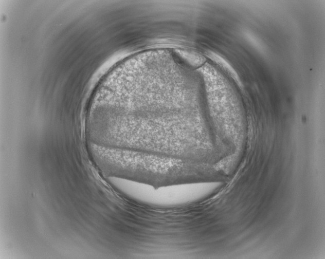 X0000085311419200704092311