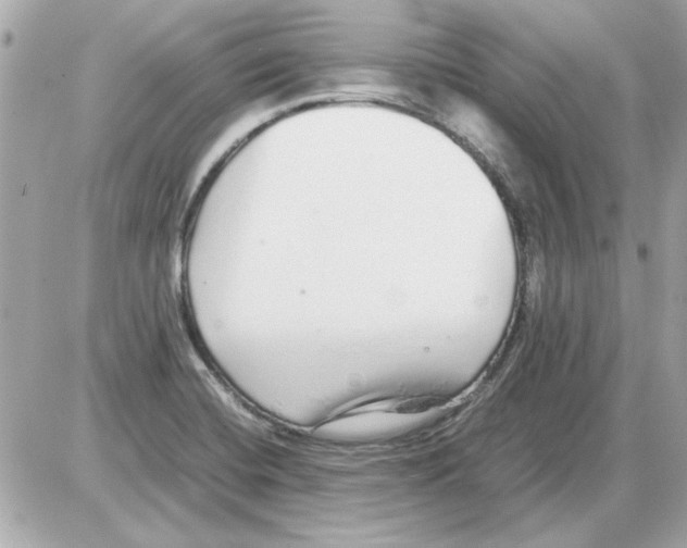 X0000085311420200704092311