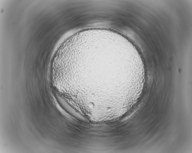 X0000085311421200704092311