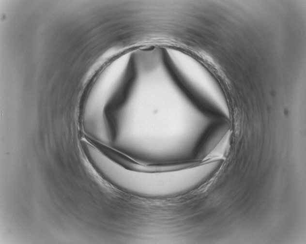 X0000085311422200704092312