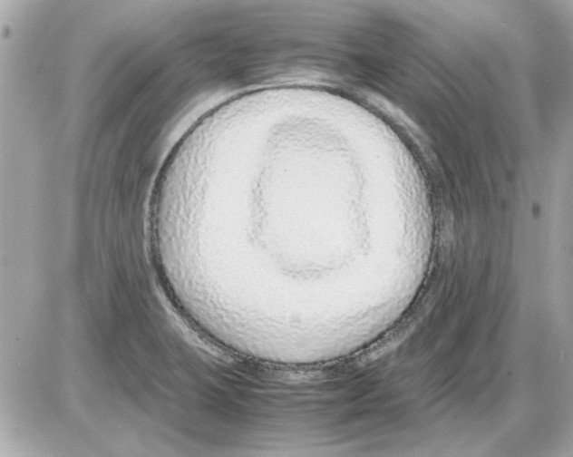 X0000085311423200704092312