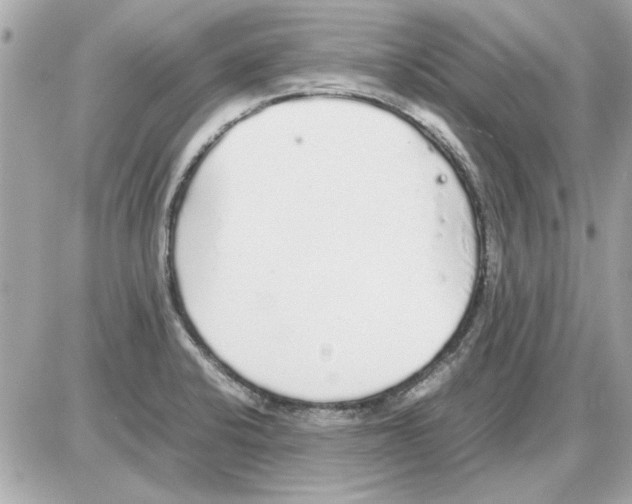 X0000085311424200704092312