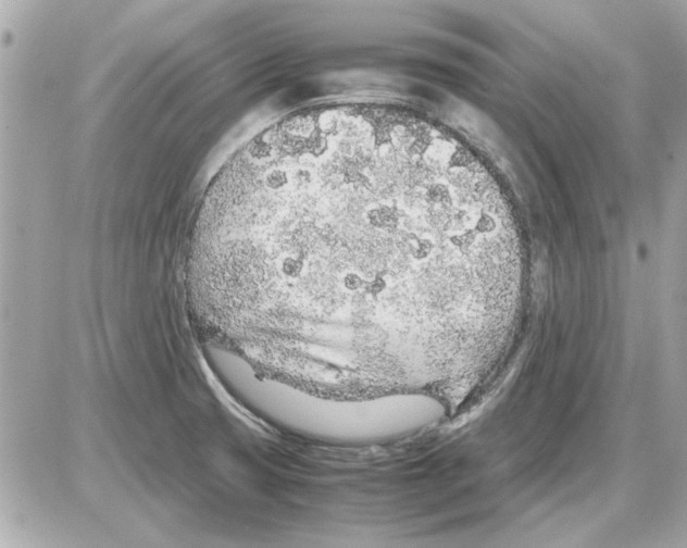 X0000085311425200704092312