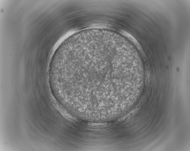 X0000085311427200704092312