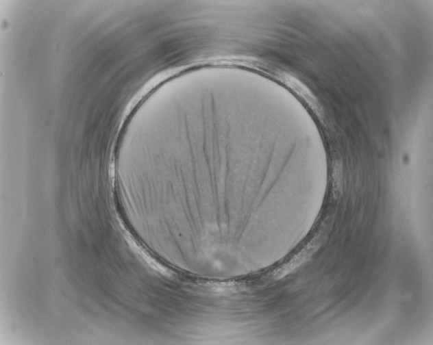 X0000085311428200704092312