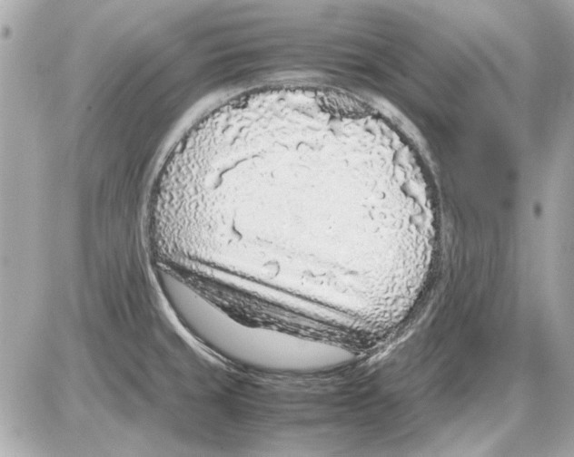 X0000085311429200704092312