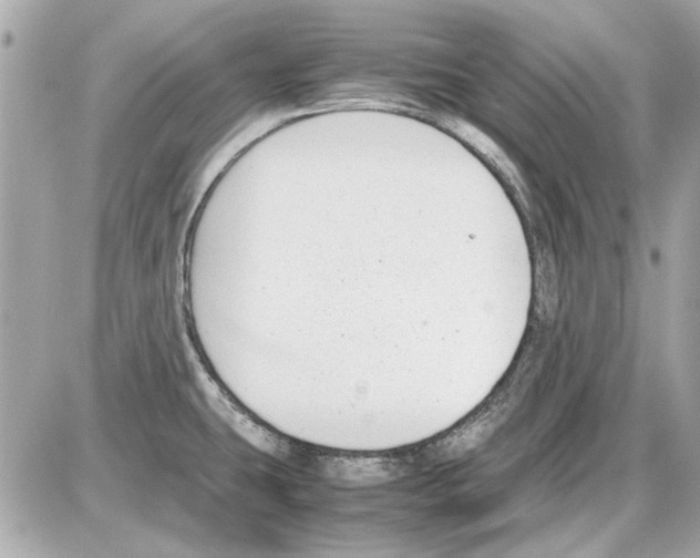 X0000085311431200704092312