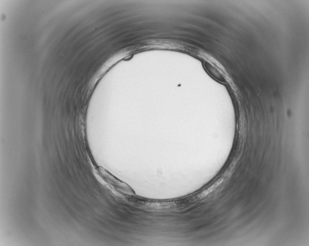 X0000085311433200704092312