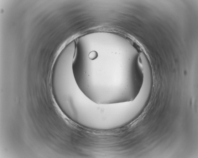 X0000085311434200704092312