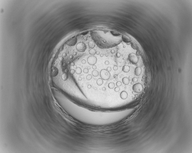 X0000085311435200704092312