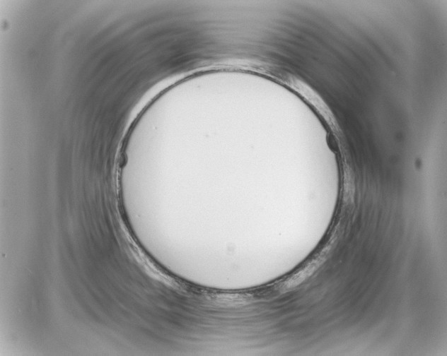 X0000085311436200704092312