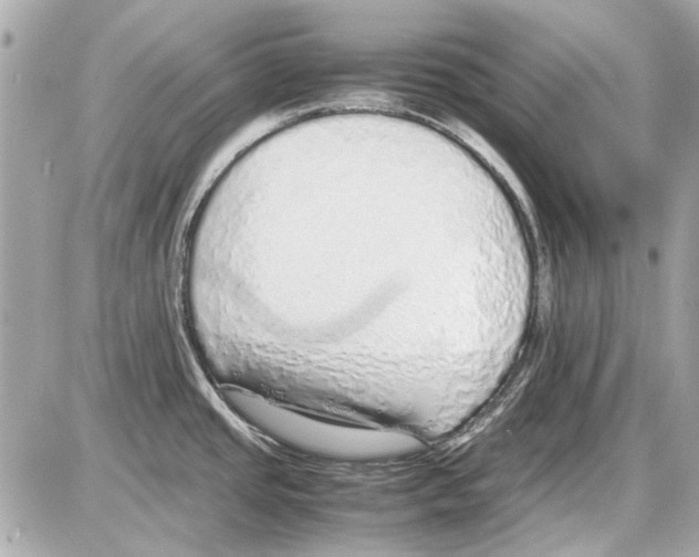 X0000085311437200704092312