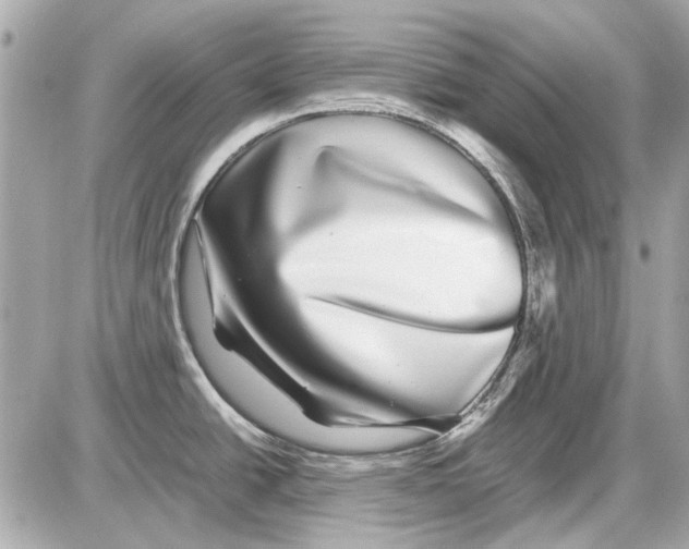 X0000085311438200704092312