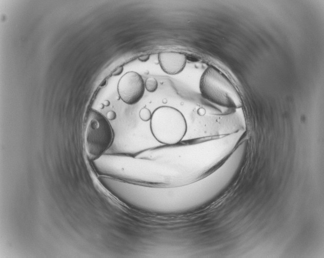 X0000085311439200704092312