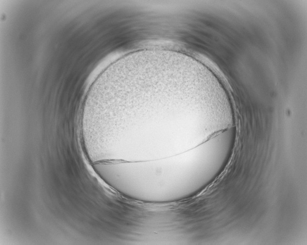 X0000085311440200704092312