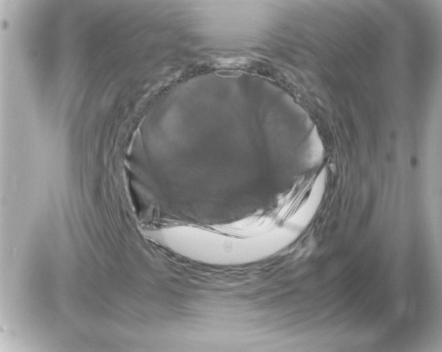 X0000085311441200704092311