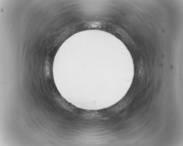 X0000085311442200704092311