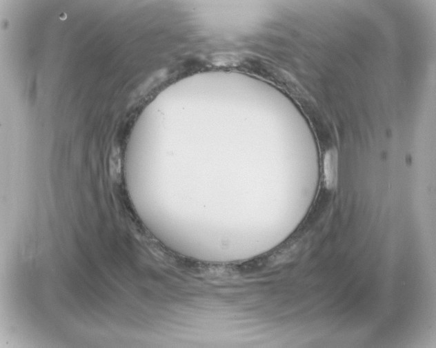 X0000085311443200704092311