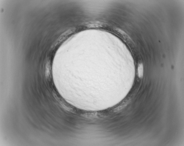 X0000085311444200704092311